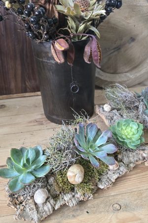 sukkulenten tischdeko dekoarrangement deko im Mrs Greenery Shop bestellen kaufen naturdeko sommerdeko