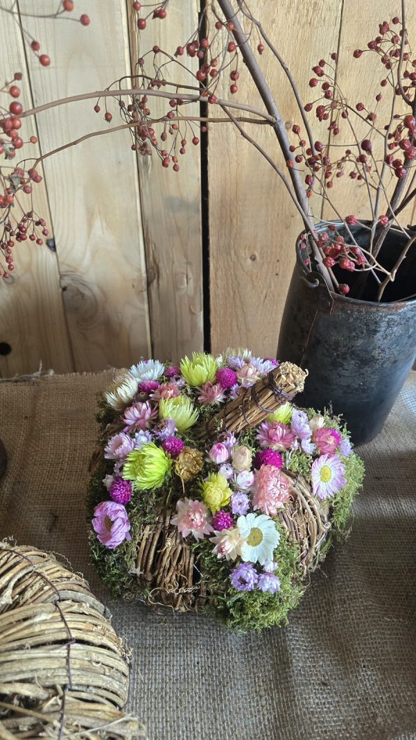 kürbis blumenkürbis strohblumen holz herbstdeko dekokürbis dekoidee deko im Mrs Greenery Shop bestellen kaufen naturdeko