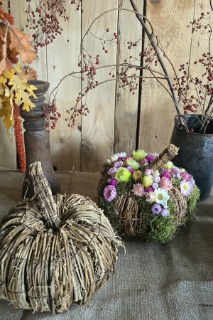 kürbis blumenkürbis strohblumen holz herbstdeko dekokürbis dekoidee deko im Mrs Greenery Shop bestellen kaufen naturdeko