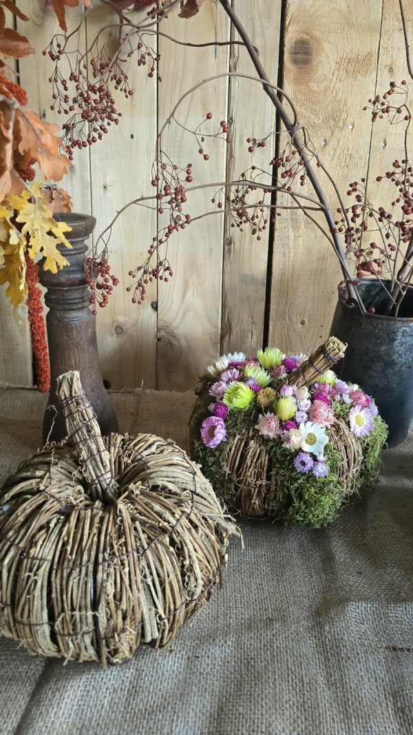 kürbis blumenkürbis strohblumen holz herbstdeko dekokürbis dekoidee deko im Mrs Greenery Shop bestellen kaufen naturdeko