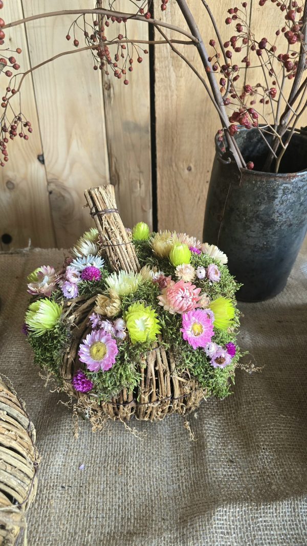 kürbis blumenkürbis strohblumen holz herbstdeko dekokürbis dekoidee deko im Mrs Greenery Shop bestellen kaufen naturdeko
