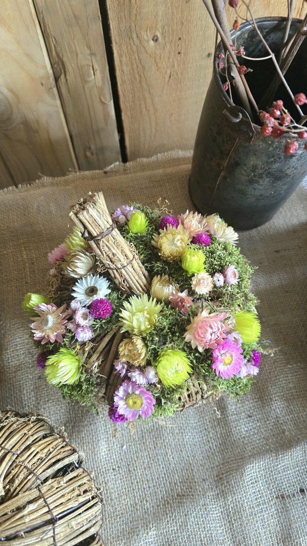 kürbis blumenkürbis strohblumen holz herbstdeko dekokürbis dekoidee deko im Mrs Greenery Shop bestellen kaufen naturdeko