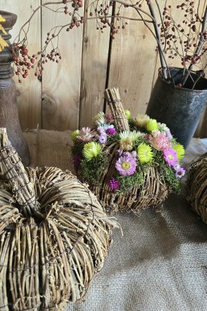 kürbis blumenkürbis strohblumen holz herbstdeko dekokürbis dekoidee deko im Mrs Greenery Shop bestellen kaufen naturdeko