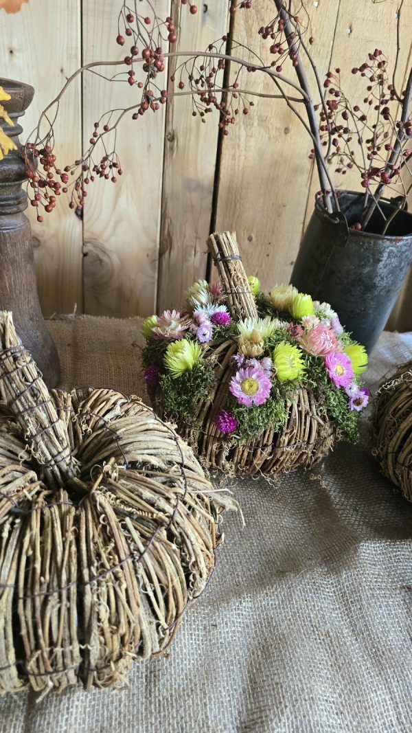 kürbis blumenkürbis strohblumen holz herbstdeko dekokürbis dekoidee deko im Mrs Greenery Shop bestellen kaufen naturdeko