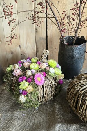 kürbis blumenkürbis strohblumen holz herbstdeko dekokürbis dekoidee deko im Mrs Greenery Shop bestellen kaufen naturdeko