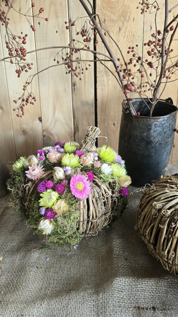 kürbis blumenkürbis strohblumen holz herbstdeko dekokürbis dekoidee deko im Mrs Greenery Shop bestellen kaufen naturdeko