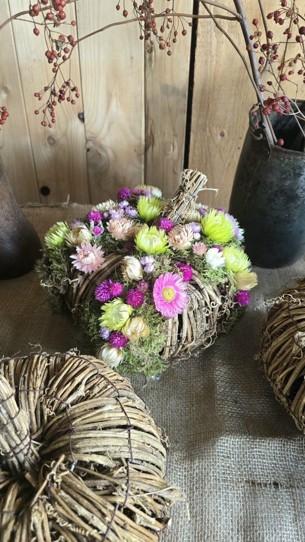 kürbis blumenkürbis strohblumen holz herbstdeko dekokürbis dekoidee deko im Mrs Greenery Shop bestellen kaufen naturdeko