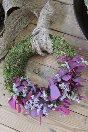 Trockenblumenkranz Kränze fertig gebunden kranz sommerkranz Dekokranz deko im Mrs Greenery Shop bestellen kaufen naturdeko