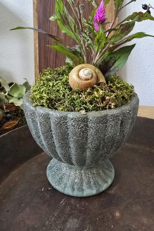 pokal keramik schale topf im mrs greenery shop bestellen kaufen