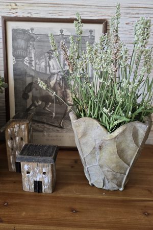 lavendel weiß weiss pflanze topfpflanze deko im Mrs Greenery Shop bestellen kaufen naturdeko