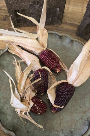 ziermais mais getrocknet herbstdeko im mrs greenery shop bestellen kaufen