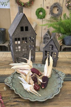 ziermais mais getrocknet herbstdeko im mrs greenery shop bestellen kaufen