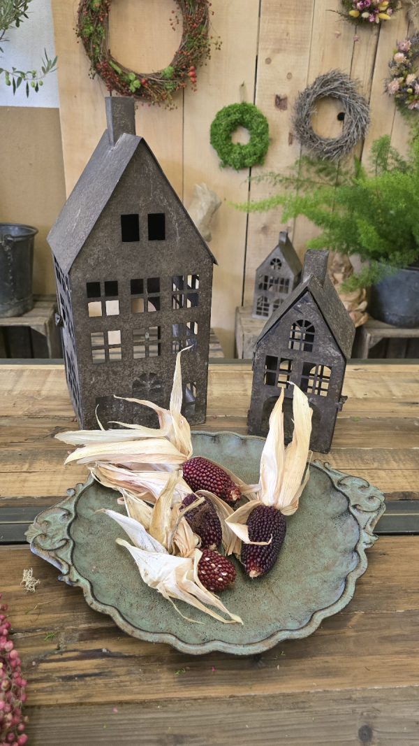 ziermais mais getrocknet herbstdeko im mrs greenery shop bestellen kaufen