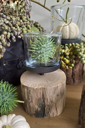 holz Windlicht Eiche natur Rinde Windlichter aus Holz mit Glas im Mrs greenery Shop bestellen kaufen
