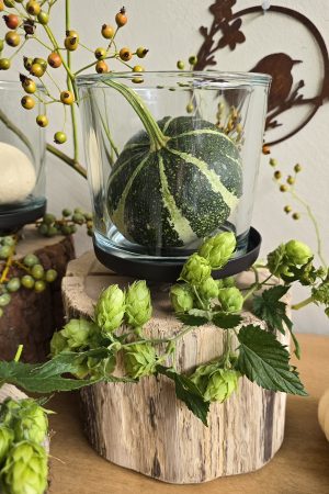 holz Windlicht Eiche natur Rinde Windlichter aus Holz mit Glas im Mrs greenery Shop bestellen kaufen