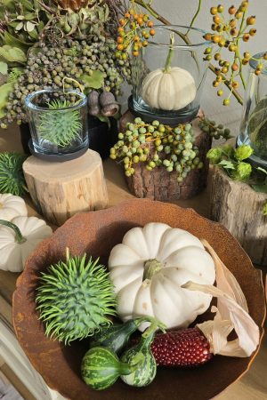 Schale Rostig Rostschale Metallschale Rost Dekoschale im Mrs Greenery Shop bestellen kaufen
