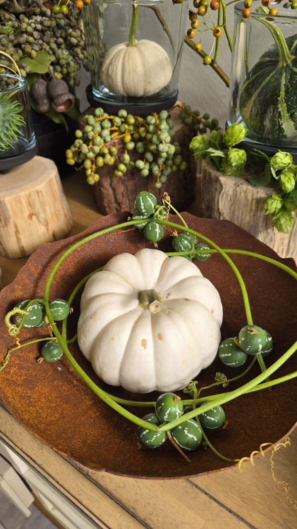 zierfruchtgirlande Diplocyclos Palmatus Scheinzaunrübe Herbstdeko im Mrs Greenery Shop bestellen kaufen