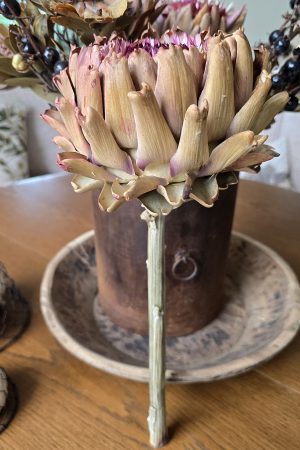 artischocke getrocknet artischockenblüte getrocknet trockenblumen im mrs greenery shop bestellen kaufen