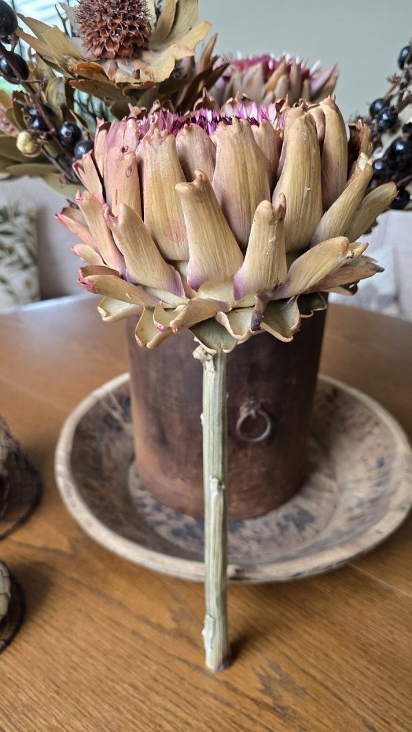 artischocke getrocknet artischockenblüte getrocknet trockenblumen im mrs greenery shop bestellen kaufen