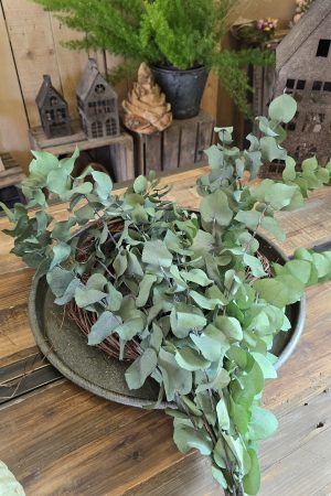 eukalyptus grün konserviert gefärbt im Mrs greenery shop bestellen kaufen