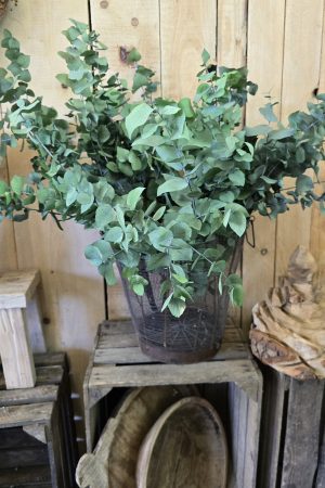 eukalyptus grün konserviert gefärbt im Mrs greenery shop bestellen kaufen