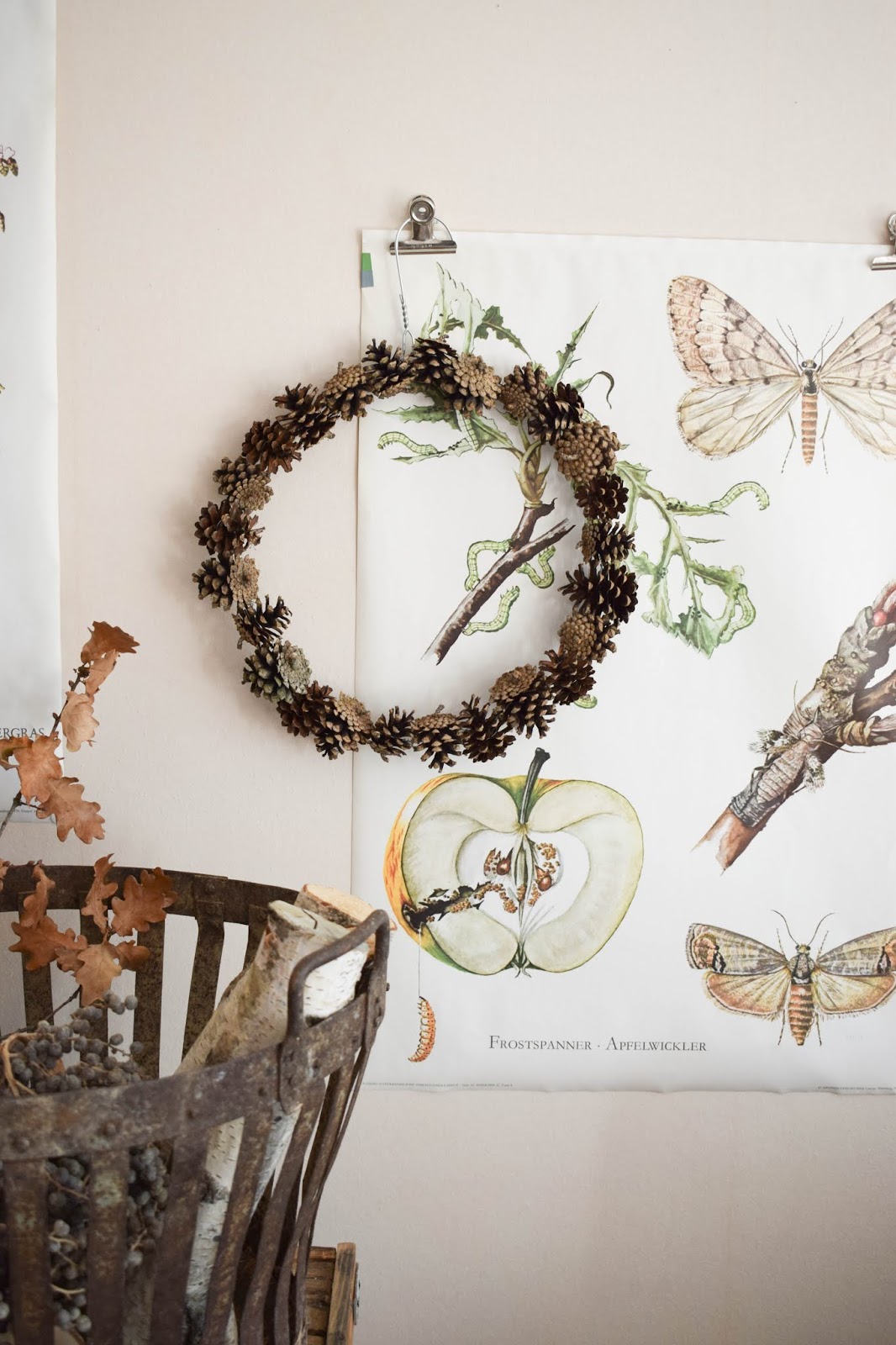 DIY Kranz aus Zapfen: vom schnöden Kleiderbügel zum tollen Naturkranz | DIY, Blumen & Naturdeko
