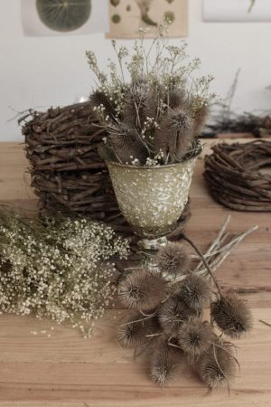 Die wilde Karde getrocknet ist perfekt zum Kranzbinden geeignet. Kranz Kränze Deko mit Naturmaterialien Mrs Greenery Shop