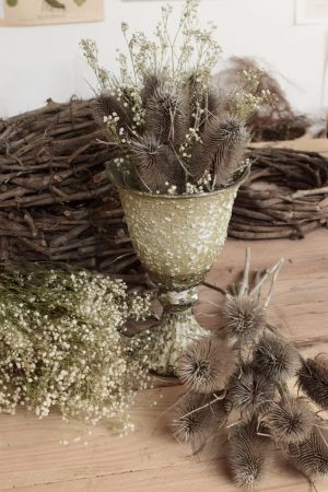 Die wilde Karde getrocknet ist perfekt zum Kranzbinden geeignet. Kranz Kränze Deko mit Naturmaterialien Mrs Greenery Shop