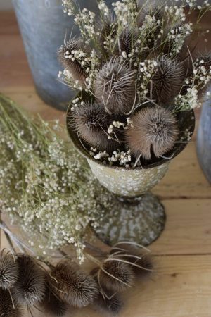 Die wilde Karde getrocknet ist perfekt zum Kranzbinden geeignet. Kranz Kränze Deko mit Naturmaterialien Mrs Greenery Shop