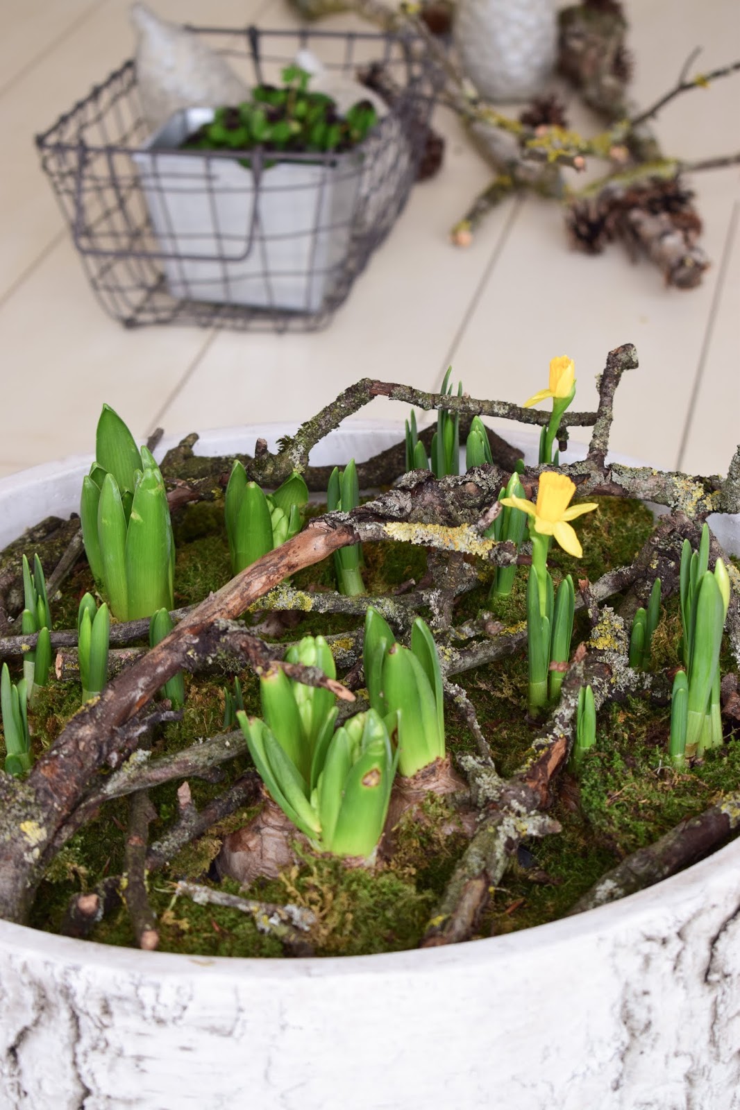 20 Stück Frühlings-Tulpen-Deko-Kugeln – Mit Schmetterlingen, Für Baum & Fenster