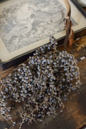 Getrockneter Dattelzweig. Naturdeko für Tisch und Konsole und Sideboard. Natürlich dekorieren mit Datteln.