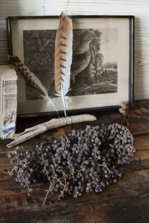 Getrockneter Dattelzweig. Naturdeko für Tisch und Konsole und Sideboard. Natürlich dekorieren mit Datteln.