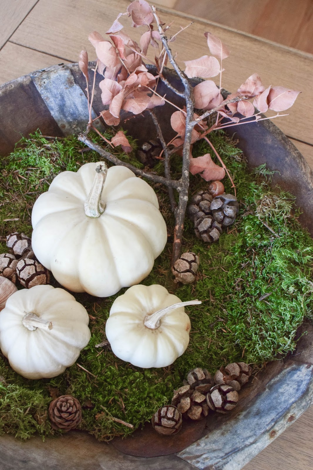 Wie ihr eine Schale kreativ mit Naturmaterialien dekoriert - passend für Herbst und Winter | DIY, Blumen & Naturdeko