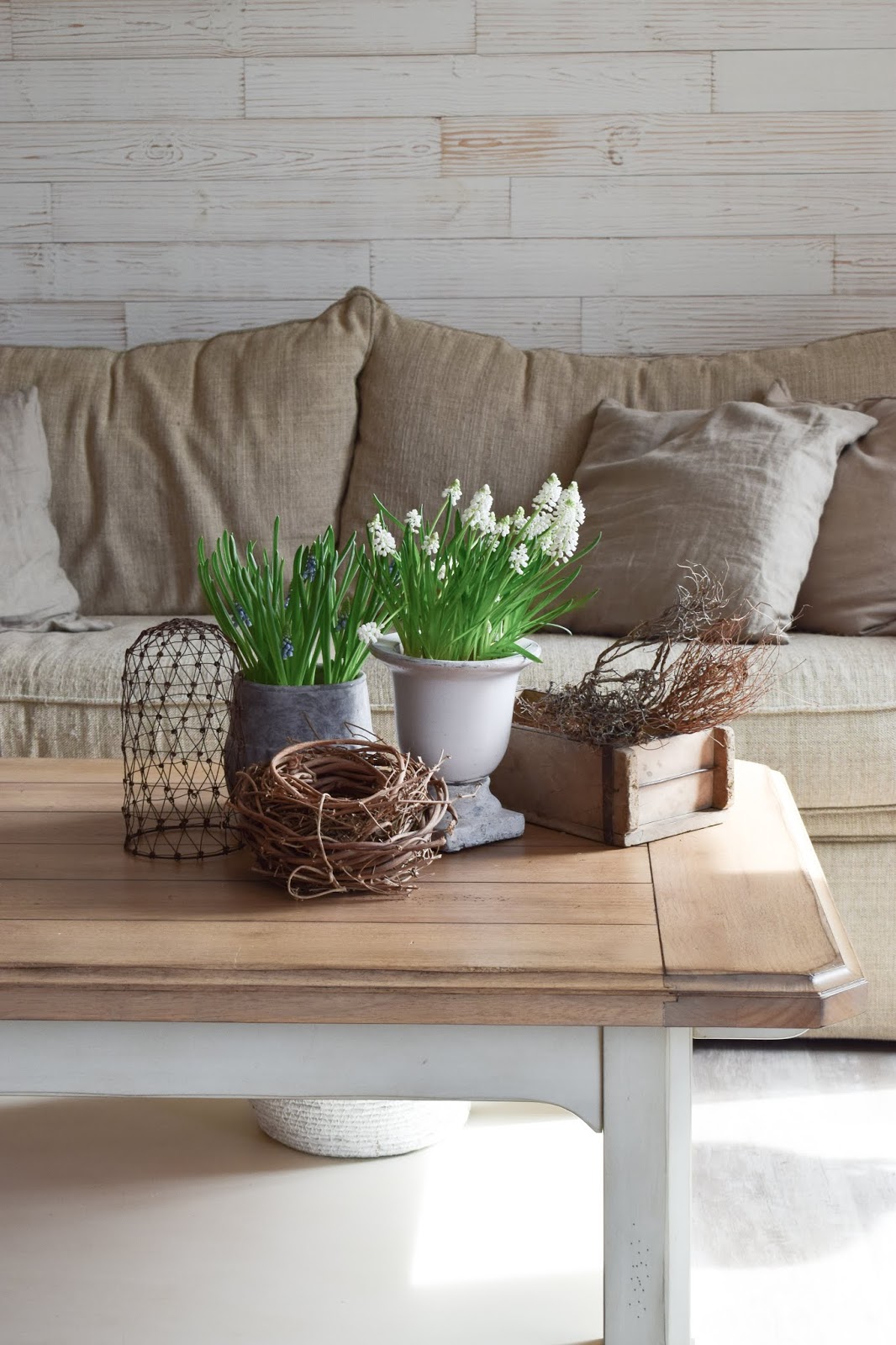 Dekoideen aus meinem Wohnzimmer: natürlich und schön! | DIY, Blumen & Naturdeko