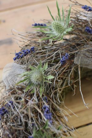 Disteln Sirius Questar grün: Kranz Kränze Deko mit Naturmaterial frisch und getrocknet Naturdeko Kreativsein Basteln Dekoidee