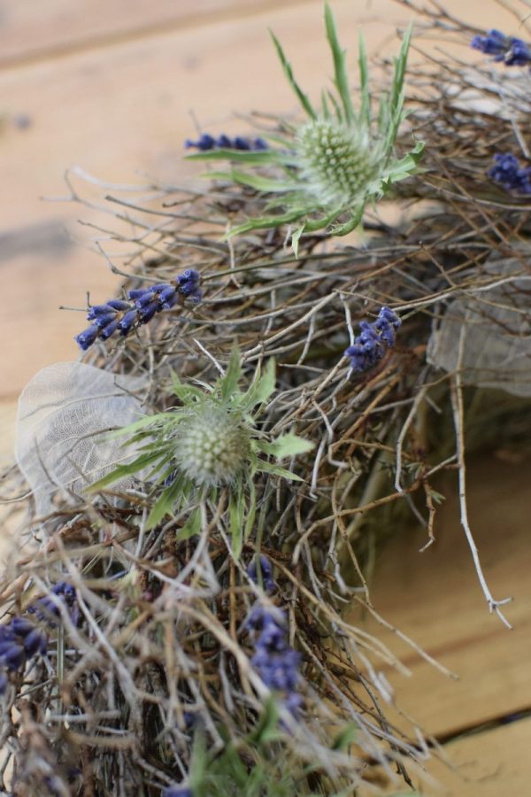 Disteln Sirius Questar grün: Kranz Kränze Deko mit Naturmaterial frisch und getrocknet Naturdeko Kreativsein Basteln Dekoidee