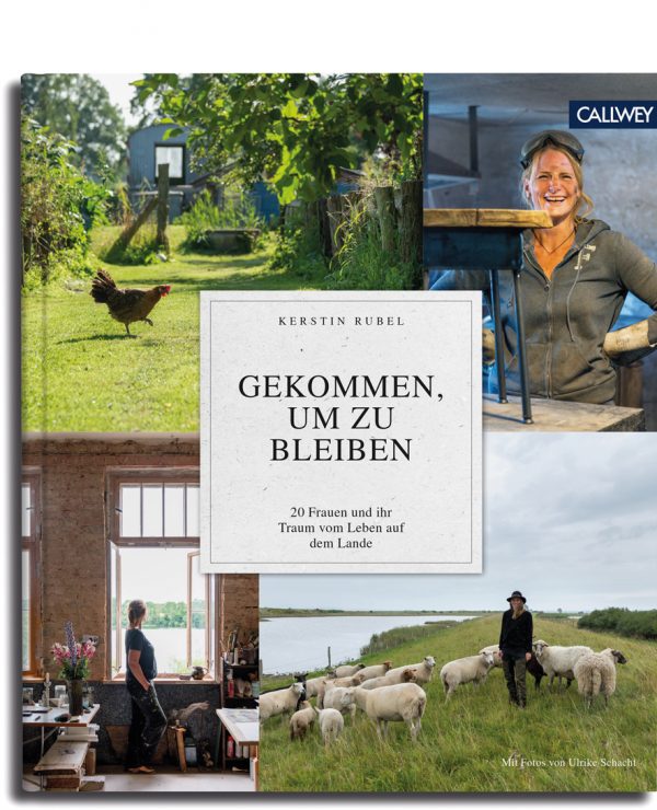 Gekommen, um zu bleiben buch bücher mrs Greenery shop bestellen kaufen