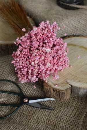Glixia Trockenblume Strohblume Kreativsein und gestalten mit Trockenblumen Naturdeko Dekoidee
