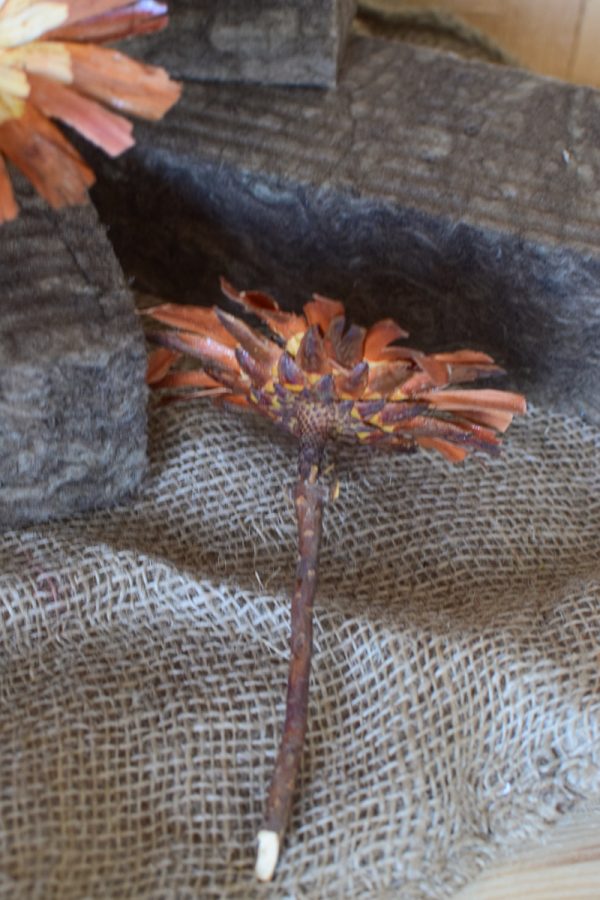 Holzblume natur, Blüte getrocknet. Mit Trockenblumen kreativsein aus dem Mrs Greenery Shop
