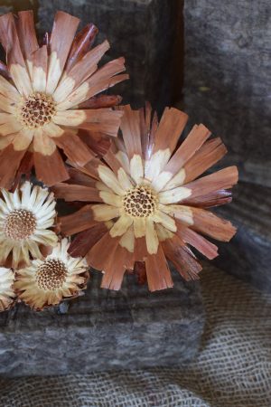 Holzblume natur, Blüte getrocknet. Mit Trockenblumen kreativsein aus dem Mrs Greenery Shop
