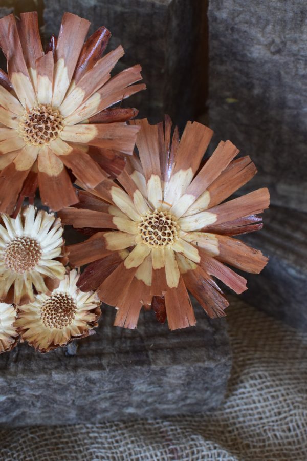 Holzblume natur, Blüte getrocknet. Mit Trockenblumen kreativsein aus dem Mrs Greenery Shop