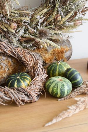 Herbstdeko mit grünen Kürbissen. Der Klassiker der Herbstdeko. Jetzt bestellen! Kürbis
