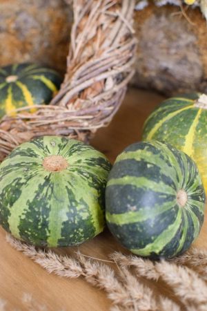 Herbstdeko mit grünen Kürbissen. Der Klassiker der Herbstdeko. Jetzt bestellen! Kürbis