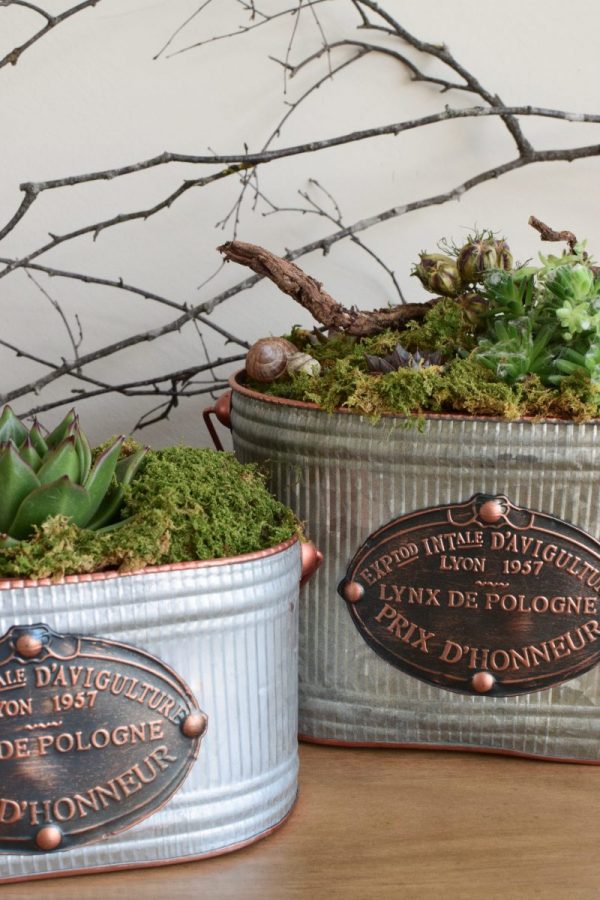 Metalltopf French Kiss für deine natürlichen Kreationen und Dekoideen vom Mrs Greenery Shop. Die natürliche Dekoidee
