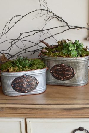 Metalltopf French Kiss für deine natürlichen Kreationen und Dekoideen vom Mrs Greenery Shop. Die natürliche Dekoidee