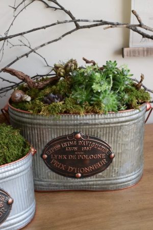 Metalltopf French Kiss für deine natürlichen Kreationen und Dekoideen vom Mrs Greenery Shop. Die natürliche Dekoidee