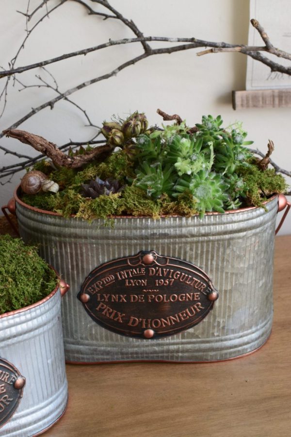 Metalltopf French Kiss für deine natürlichen Kreationen und Dekoideen vom Mrs Greenery Shop. Die natürliche Dekoidee