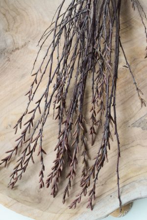 Gagelstrauch myrica gale strauch beiwerk strauss gehoelze fruechte im Mrs Greenery Shop bestellen kaufen