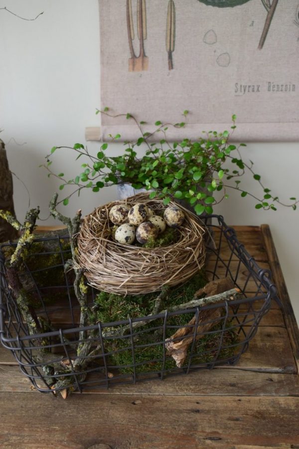 Wachteleier Dekoidee Ostern Osterdeko Ei Eier Osterdekoidee