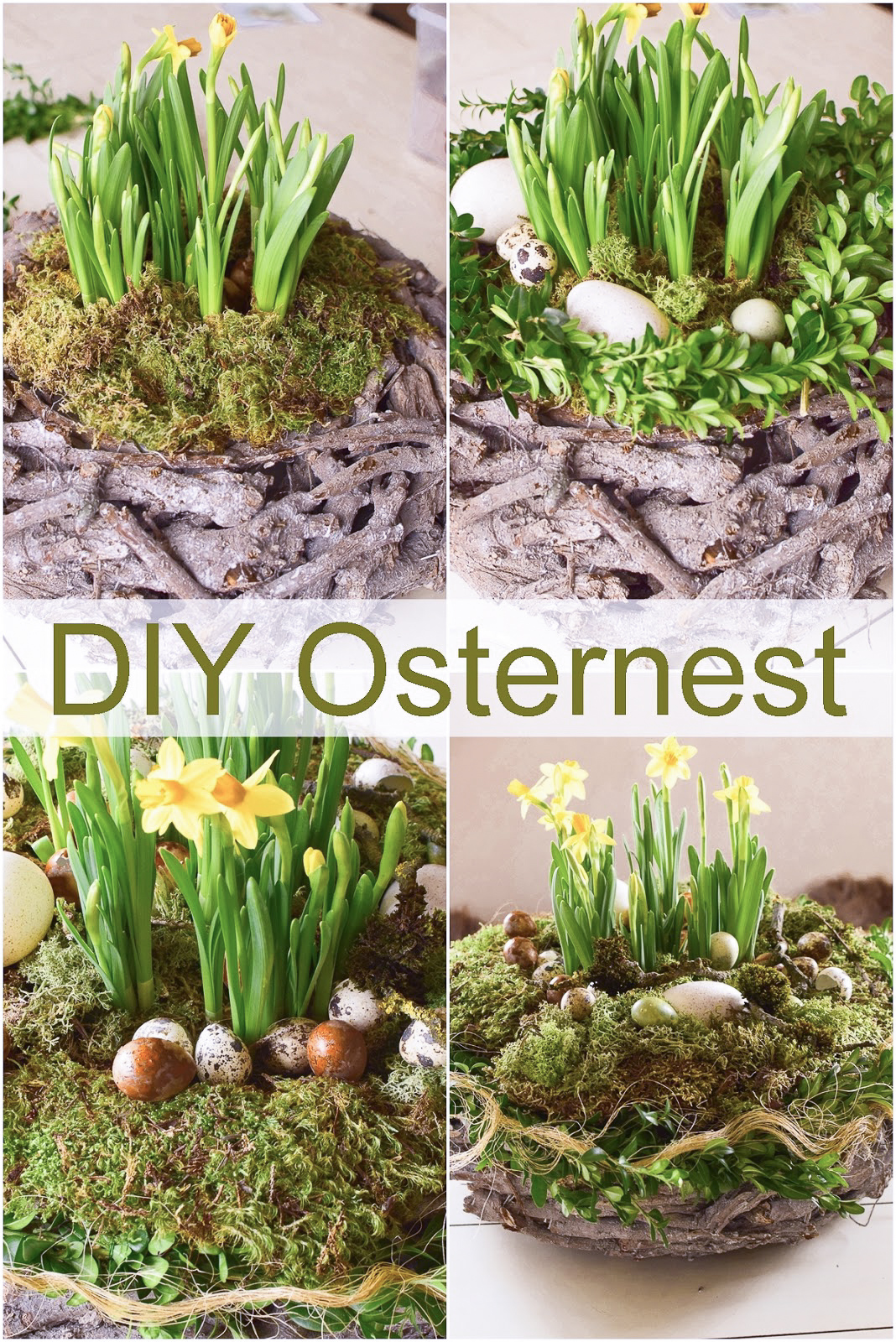 Natürliche Osterdeko: einfach selbermachen! | DIY, Blumen & Naturdeko